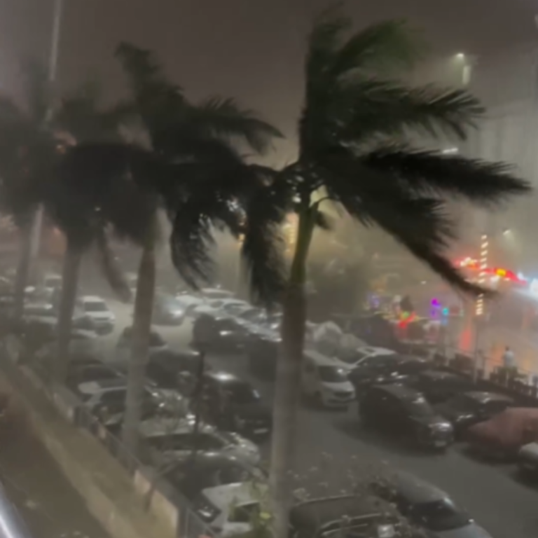 Alert For Rain, Strong Winds Along With Dust Storms In Delhi-NCR: IMD